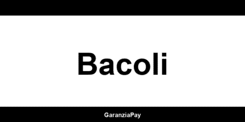 Agenzia Western Union a Bacoli - Contatto 24/7